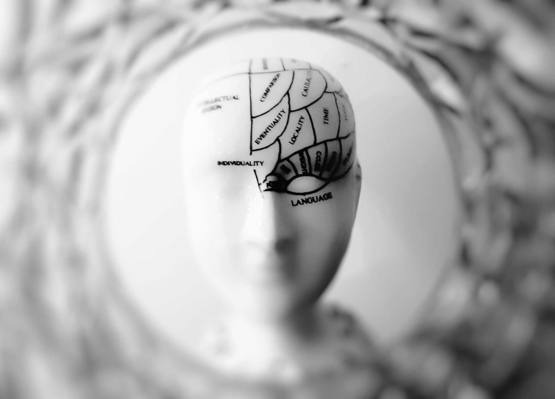 Neuroästhetik - Das Geheimnis, warum Schönes wirkt